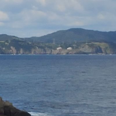 Intéressé à tout mais surtout à l'énergie et l'agriculture. Avant Twitter était marrant