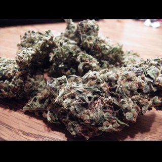 WeGetHi's profile picture. Im a student, a stoner, and a gamer! Smoke with me. #BluntKingz