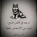 اليمن (@abwqysmry38377) Twitter profile photo اليمن (@abwqysmry38377) Twitter profile photo