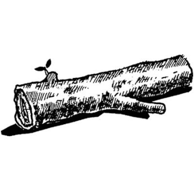 Anyone Corporation / Log Profile