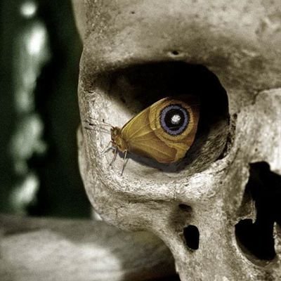 Diseñador fetichista, Geek semi profesional y entrenador de elefantes