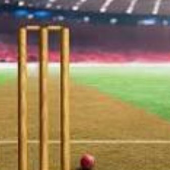 cricketpitchGB's profile picture. Hit a bat have it right back