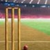 SlapOfTheWillow (@cricketpitchgb) Twitter profile photo SlapOfTheWillow (@cricketpitchgb) Twitter profile photo