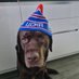 Хоккеем не интересуюсь! (@barsuk37) Twitter profile photo Хоккеем не интересуюсь! (@barsuk37) Twitter profile photo