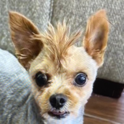 lilsadgirl666's profile picture. it izz what it izz