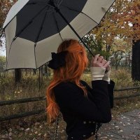 liliana lee (@lilisbookshelf) 's Twitter Profile