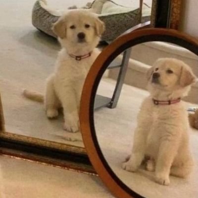 dsriviera's profile picture. non, ce n'est pas pour moi... // private edition of @BaginskiBar