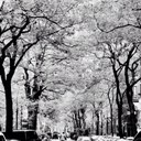 Vicki Chapman - @vhappy64 - Twitter