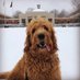 Gibbs (@sgibbsesq) Twitter profile photo Gibbs (@sgibbsesq) Twitter profile photo