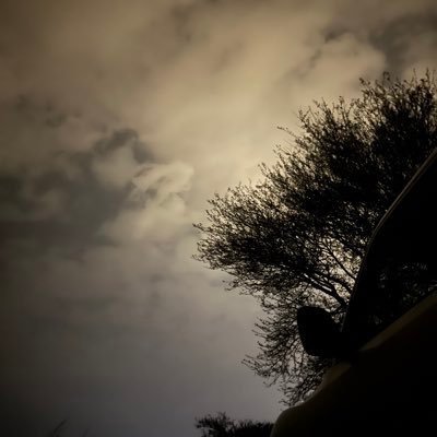 wmwmwm7070's profile picture. 
