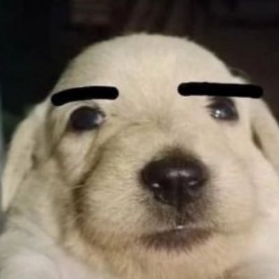 Dangyy___'s profile picture. made u look ☣︎