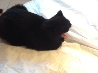 choi_dak's profile picture. 