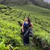 Priyanka Tupe (@tupriya2911) Twitter profile photo Priyanka Tupe (@tupriya2911) Twitter profile photo