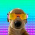 DOGMOG CTO (@dogmog_cto) Twitter profile photo DOGMOG CTO (@dogmog_cto) Twitter profile photo