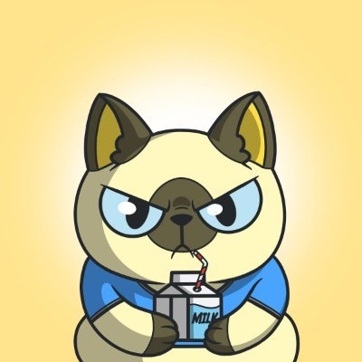 RajJais91796642's profile picture. 
