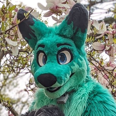 3D model maker, fursuiter | character: BandSaw
discord: MYRIADD#4978
discord server: https://t.co/q4Rjr3VbMX