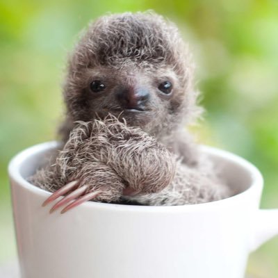 LoulouC1949's profile picture. 