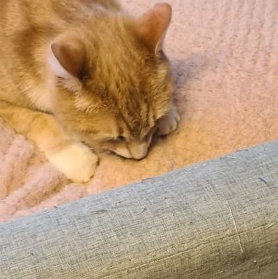 daddydiabetic's profile picture. Taurus bby