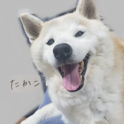 推し垢💕
アーティストさんはフォロバします✨
イイネやRPなどは少しはご協力出来ますが、ライブ等のお誘いは個人的にされましてもお応え出来ません🙇♀️
🌵たかこ←ColorSing
注⚠️エロ系RPしてるような人はフォローしないでください。されてもはずします。