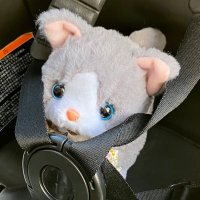 りんご🍎投資主婦 (@llwc0qcgwp17623) 's Twitter Profile