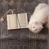 جيِم (@jiimv7) 's Twitter Profile Photo