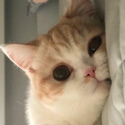 lilyさんのプロフィール画像