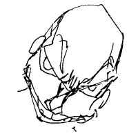 oftenlyme (@oftenlyme) 's Twitter Profile