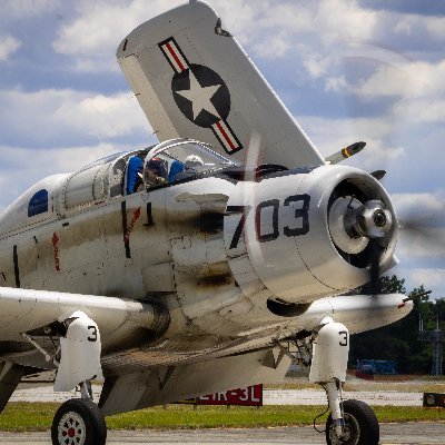 wingman_ejected's profile picture. main @fxllencode

#1 pete buttigieg stan

ignore basically everything