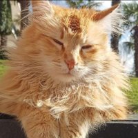 NuriLeflef Yedek Hesap (@eytnurileflef) Twitter profile photo