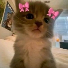 _medhnk_'s profile picture. 