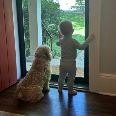 TeezFF's profile picture. 