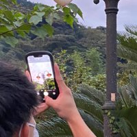 ぽん (@nuutooaa) 's Twitter Profile