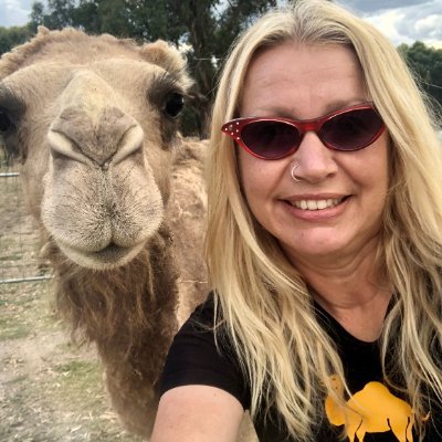 We rescue and provide homes to camels, horses, donkeys, cows, alpacas, sheep, pigs, chickens and dogs. Stay at our B&B, meet the animals and hear their stories.