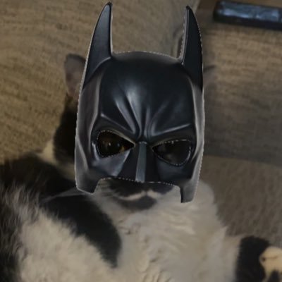 DCBuckeye9's profile picture. Terry McLaurin Enjoyer, UVA and tOSU fan, Luka MVP narrative pusher