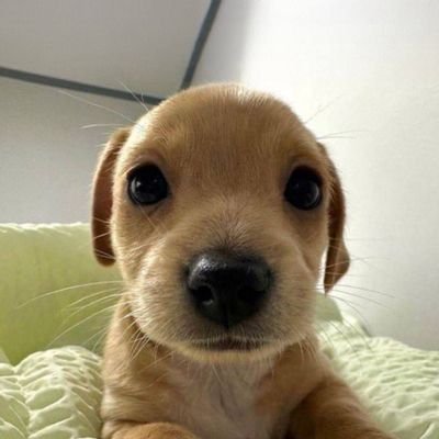 OnlyAManOnEarth's profile picture. Just a human who likes playing meme coin on Solana.