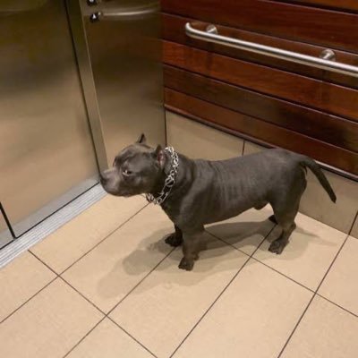 rbsdm_com's profile picture. 