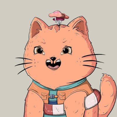 TashiyoMMWさんのプロフィール画像