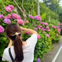 yoshiki@ポケカ復帰予定未定 (@kei111326) Twitter profile photo