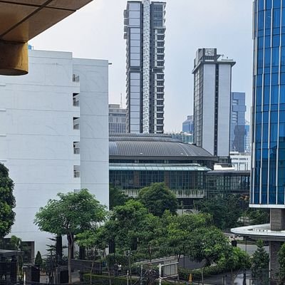 Draxlerid1's profile picture. 