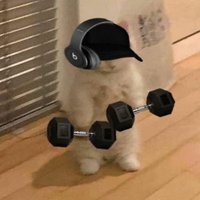 Gabo 🕯️ (@iancs2021) 's Twitter Profile Photo Gabo 🕯️ (@iancs2021) 's Twitter Profile Photo