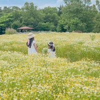 おぱる☺︎ (@hulun451740781) 's Twitter Profile Photo