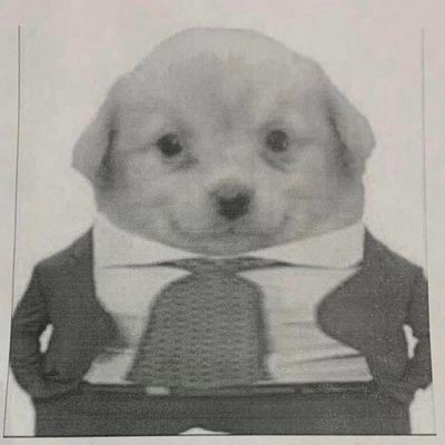 rod12ber2's profile picture. 