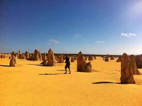 lukegray99's profile picture. Father/Husband, Director of Football, Geography IB/HSC Teacher, AUS Joeys Squad, Backyard Cricket Club Founder