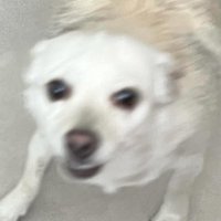 VincentVante (@_vincentvante_) 's Twitter Profile