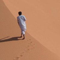 T (@1t) 's Twitter Profile