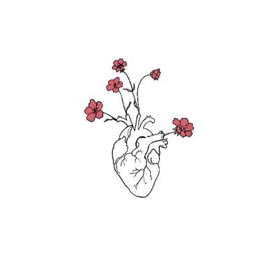 MarcelaBarcha25's profile picture. 🐮