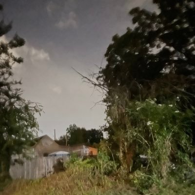 IkeSmith2361631's profile picture. Editors Choice