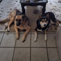 Artist Formerly Known As Twooter 🐦 (@agentincommand) 's Twitter Profile Photo