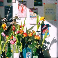 来地球看海 (@yukiscyscy) 's Twitter Profile Photo