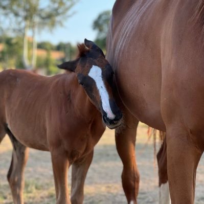 frakker84's profile picture. SHA256: 29d9a05db235477e2ad17a8a36b6f06461788368edc194b0a54c4b234889b2da